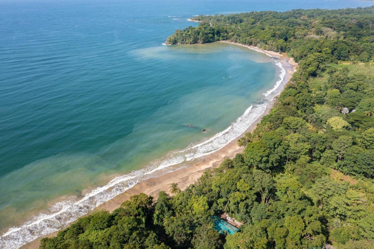 Awa Beach Hotel Puerto Viejo de Talamanca Eksteriør billede