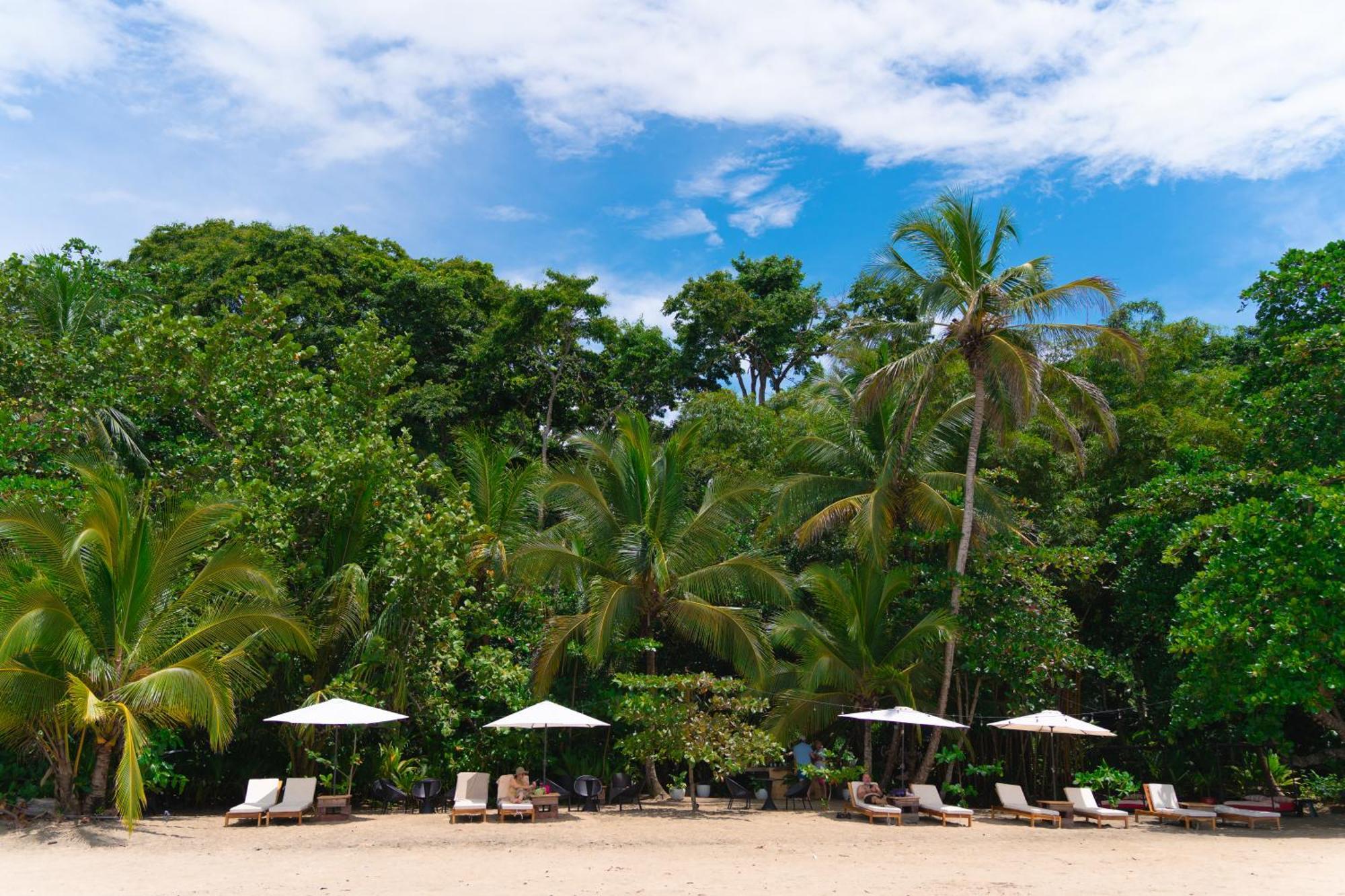 Awa Beach Hotel Puerto Viejo de Talamanca Eksteriør billede