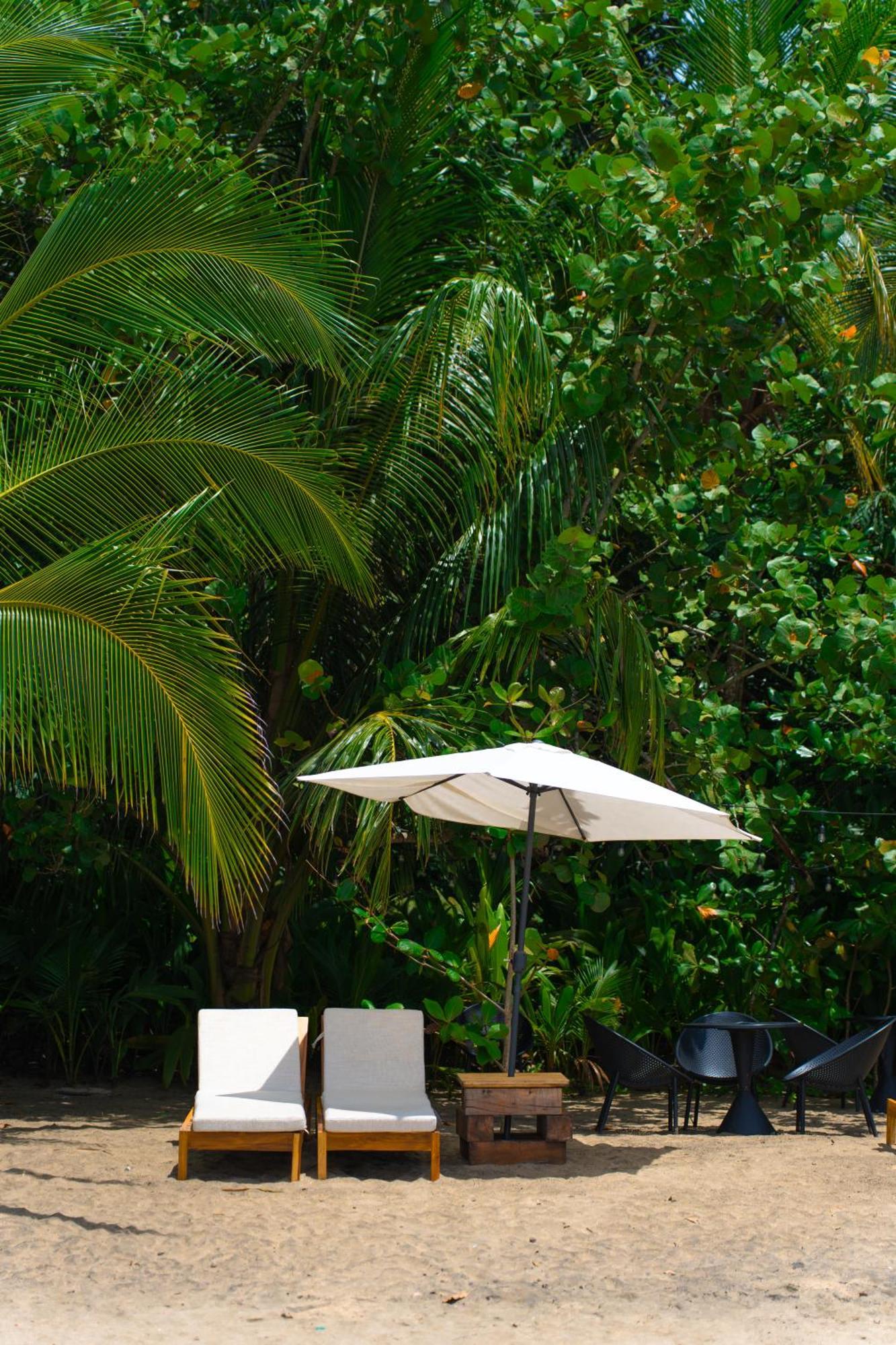 Awa Beach Hotel Puerto Viejo de Talamanca Eksteriør billede