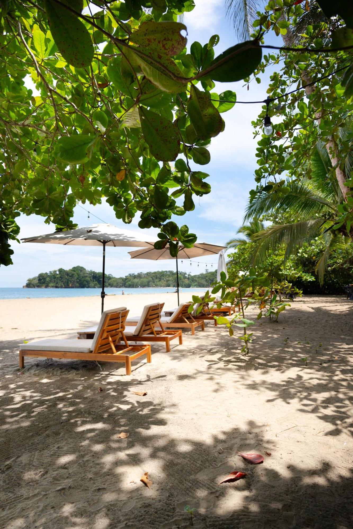 Awa Beach Hotel Puerto Viejo de Talamanca Eksteriør billede