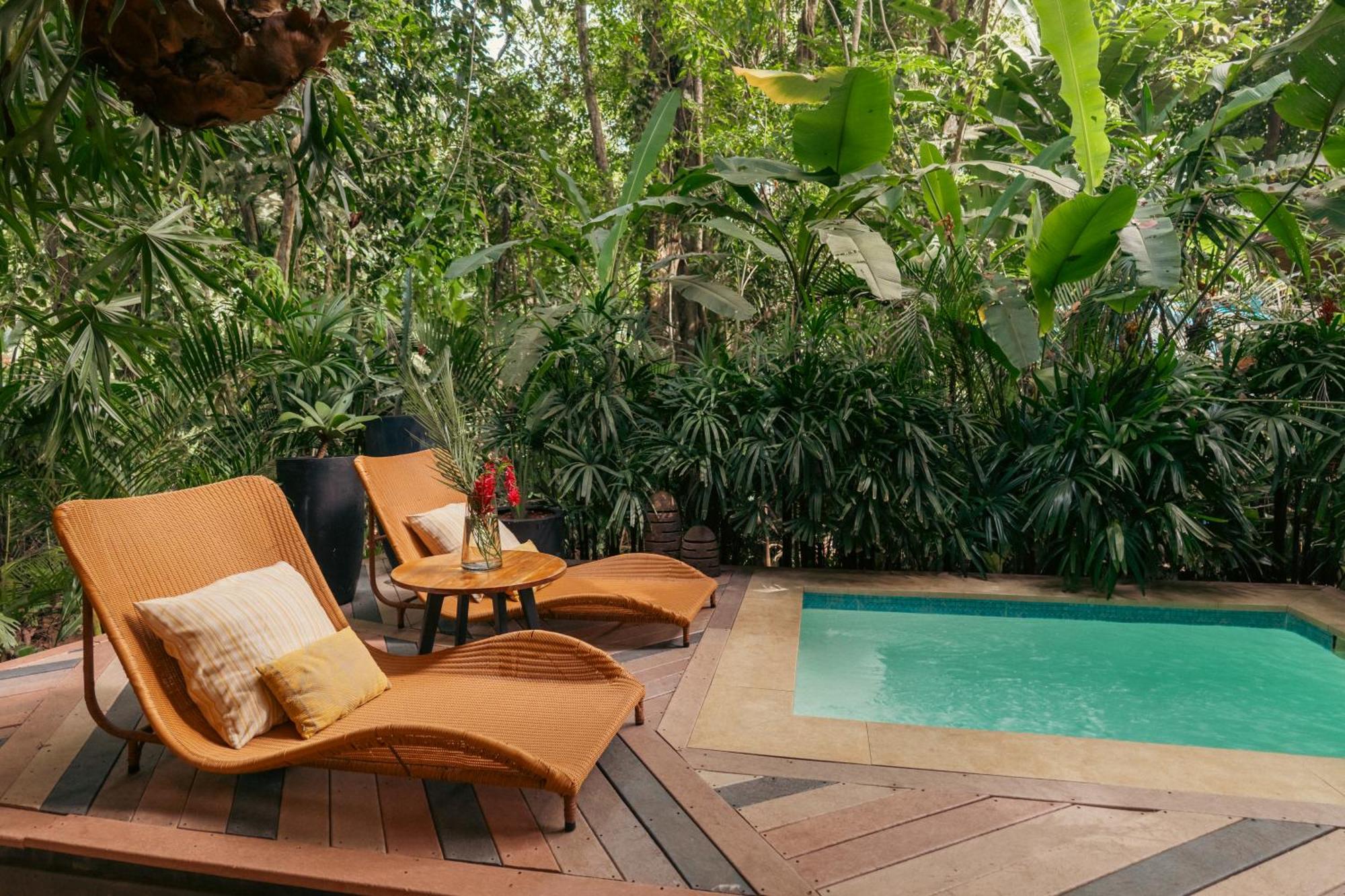 Awa Beach Hotel Puerto Viejo de Talamanca Eksteriør billede